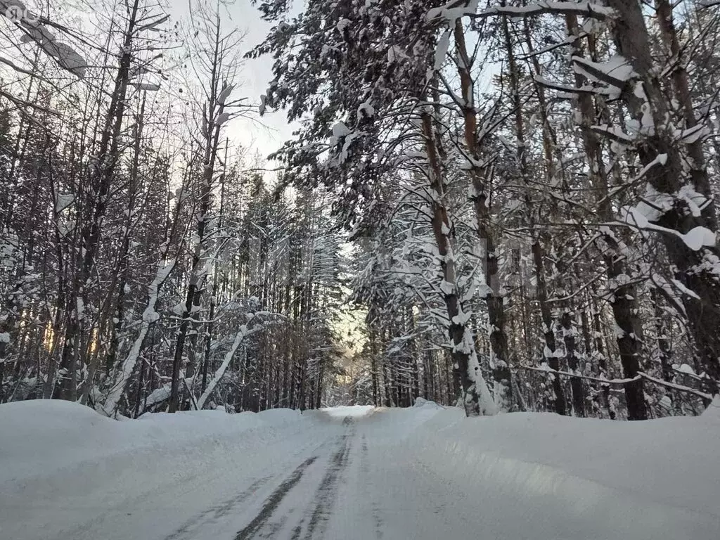 Дом в Барышевский сельсовет, садоводческое некоммерческое товарищество ... - Фото 2