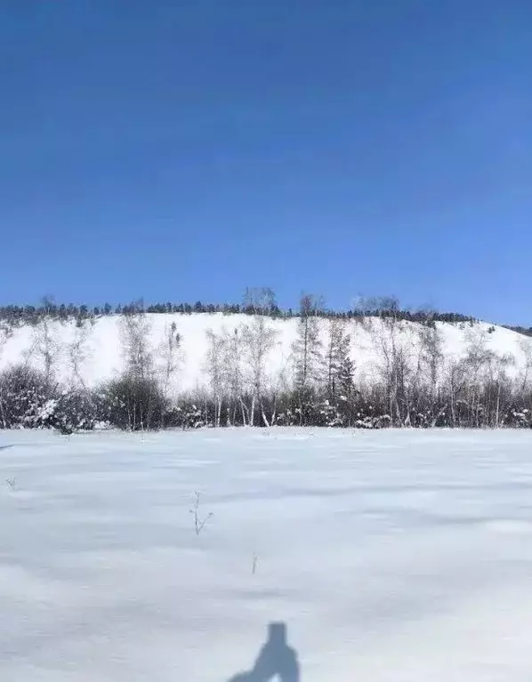 Участок, 13.5 сот., поселения (ижс) - Фото 2