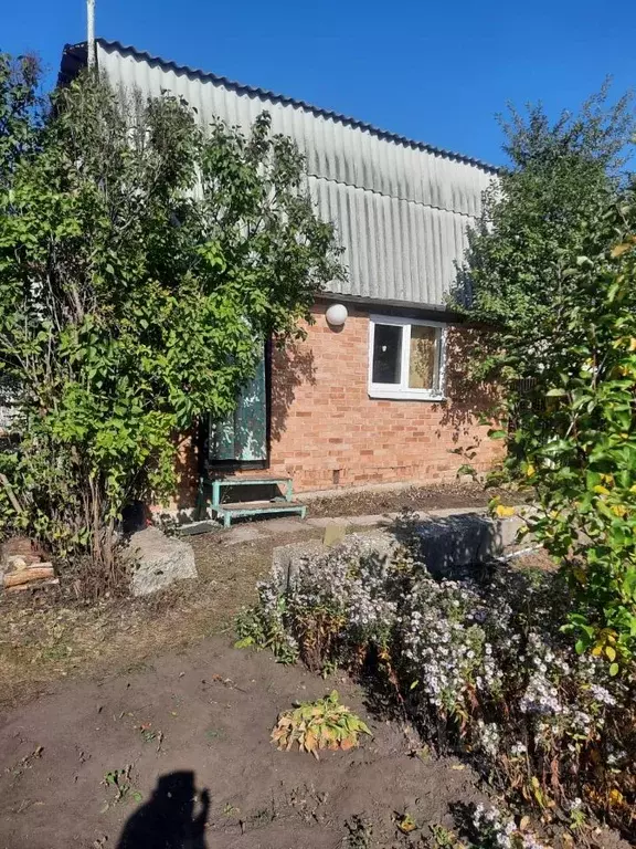 Дом в Самарская область, Ставропольский район, Новая Бинарадка с/пос, ... - Фото 1