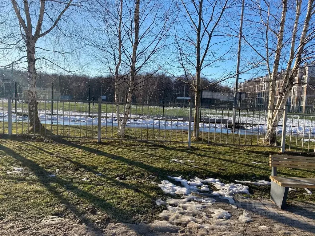 3-к кв. Калининградская область, Пионерский Флотская ул. (94.0 м) - Фото 2