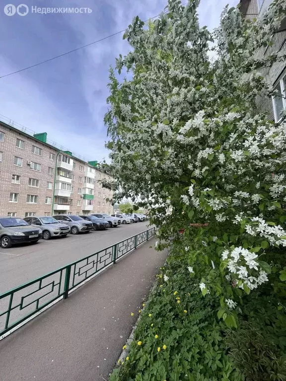 2-комнатная квартира: Октябрьский, 21-й микрорайон, 12 (41 м) - Фото 1