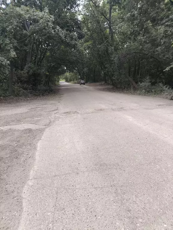 Участок в Самарская область, Самара НСД ИОТ Красная Поляна тер., ул. ... - Фото 2