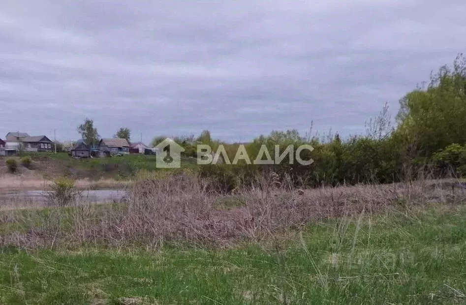 Участок в Пензенская область, Бессоновский район, с. Чертково ... - Фото 0