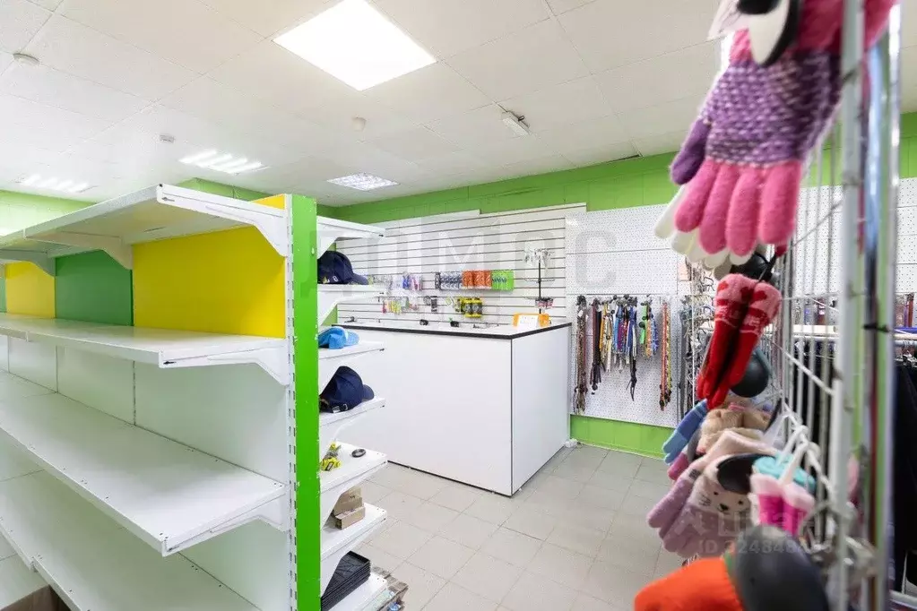 Торговая площадь в Пермский край, Октябрьский рп ул. Трактовая, 1 (523 ... - Фото 2