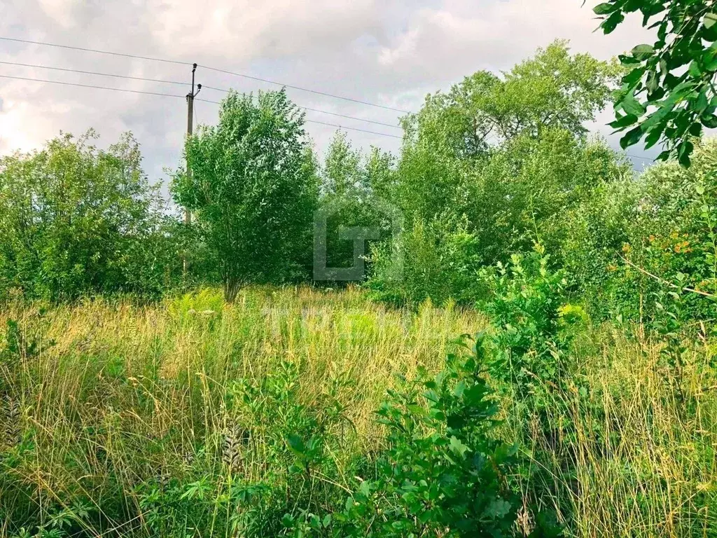 Участок в Санкт-Петербург, Санкт-Петербург, Ломоносов ул. Авроры (13.8 ... - Фото 1