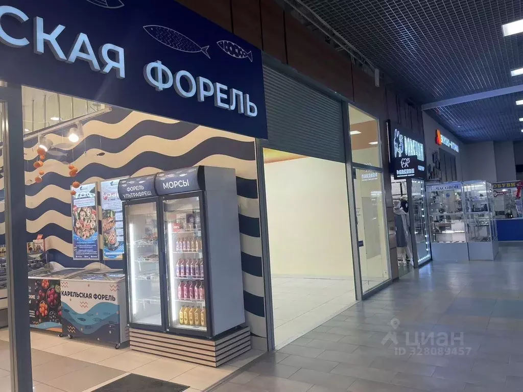 Помещение свободного назначения в Санкт-Петербург ул. Марата, 86 (69 ... - Фото 2