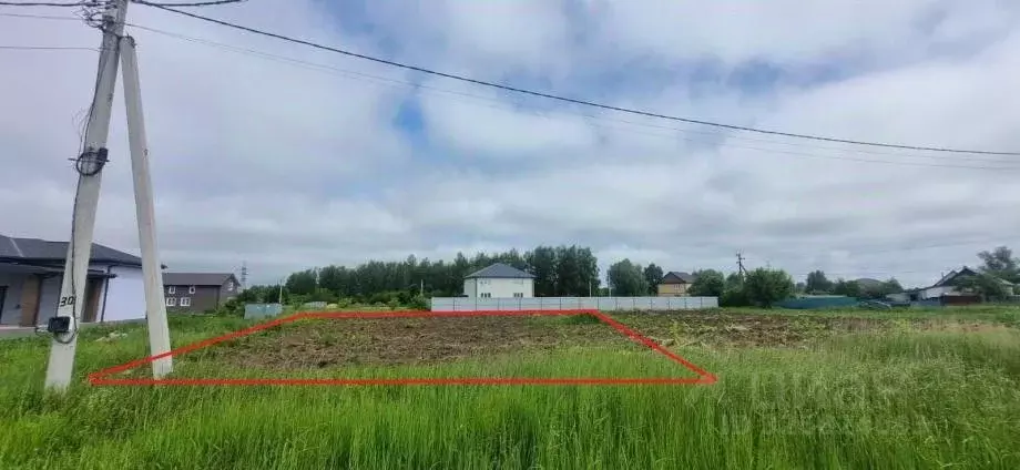 Участок в Владимирская область, Муром с. Чаадаево, ул. Солнечная (11.5 ... - Фото 2