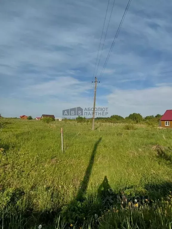 Участок в Новгородская область, Шимский муниципальный район, ... - Фото 1