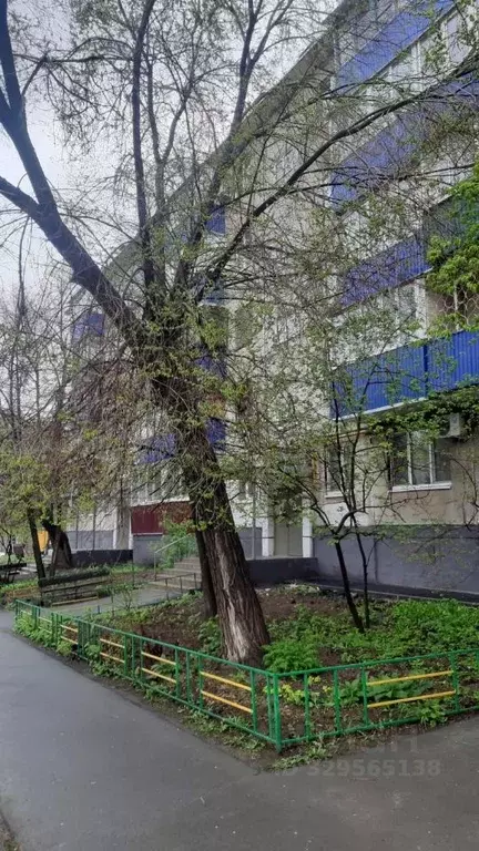 2-к кв. Оренбургская область, Орск Новый город мкр, ул. Красная, 17 ... - Фото 2