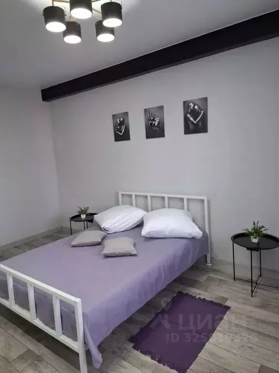 1-к кв. Липецкая область, Липецкий муниципальный округ, с. Подгорное, ... - Фото 2