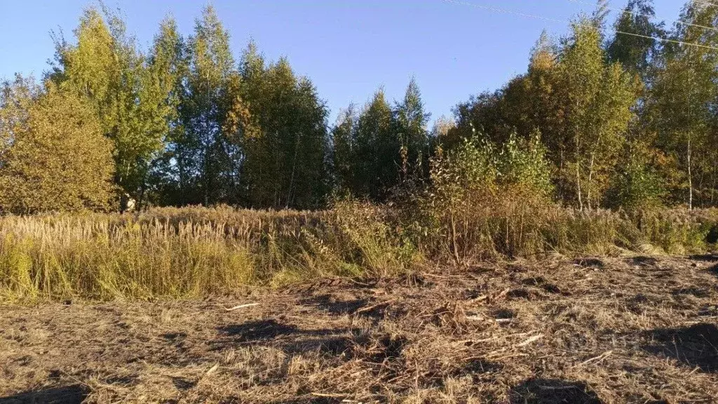 Участок в Тульская область, Тула ул. Богородицкая (3.37 сот.) - Фото 1