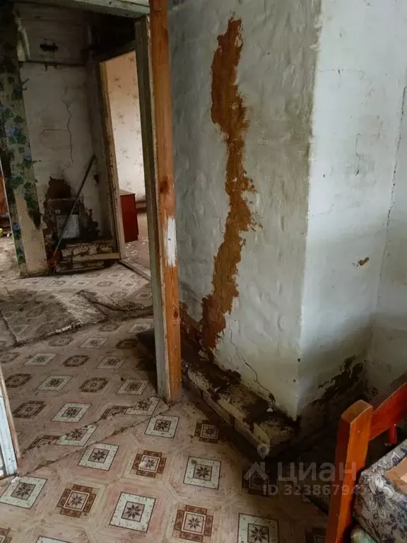 Помещение свободного назначения в Ивановская область, Палехский район, ... - Фото 2