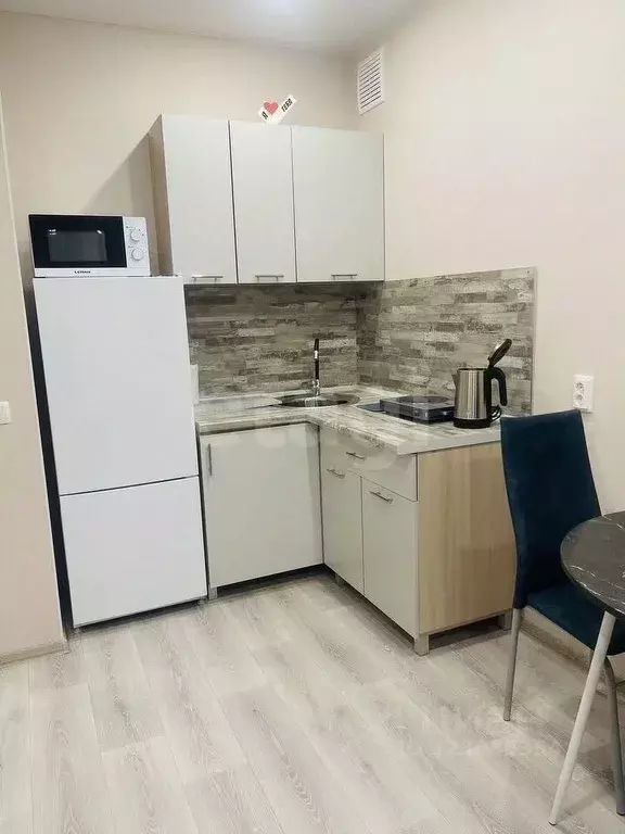 2-к кв. Новосибирская область, Новосибирск Красный просп., 167/3 (40.0 ... - Фото 2