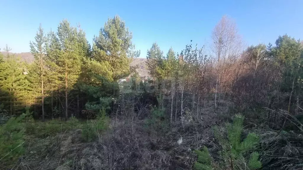 Участок в Алтай, Горно-Алтайск ул. Чепкина, 14/2 (10.0 сот.) - Фото 1