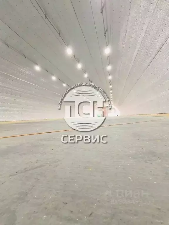 Склад в Московская область, Домодедово городской округ, д. Немцово 15 ... - Фото 2