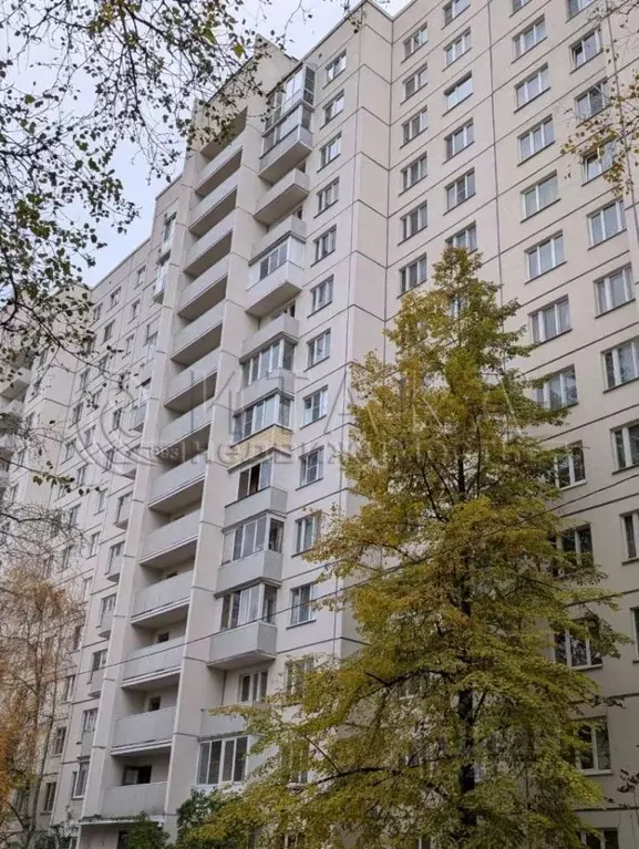 Комната Санкт-Петербург ул. Стасовой, 2А (12.2 м) - Фото 1