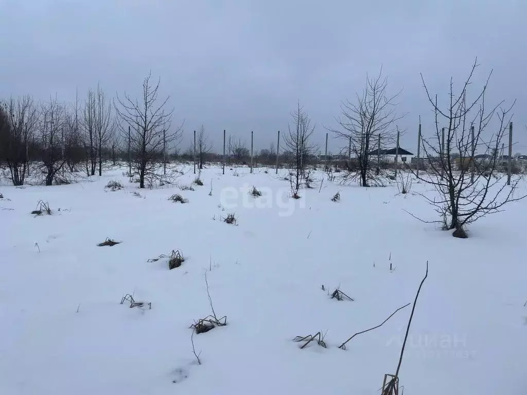 Участок в Воронежская область, с. Новая Усмань ул. Коммунарская (10.0 ... - Фото 1