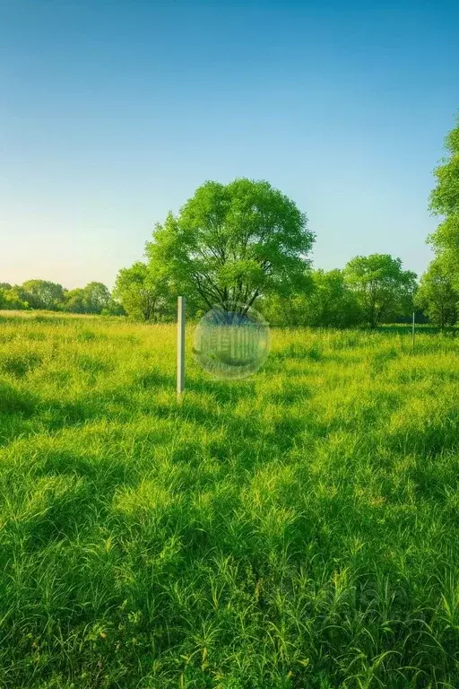 Участок в Московская область, Ленинский городской округ, д. Дроздово  ... - Фото 1