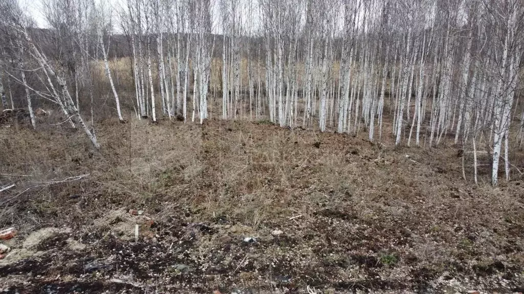 Участок в Тюменская область, Нижнетавдинский район, Тюневское с/пос, ... - Фото 1