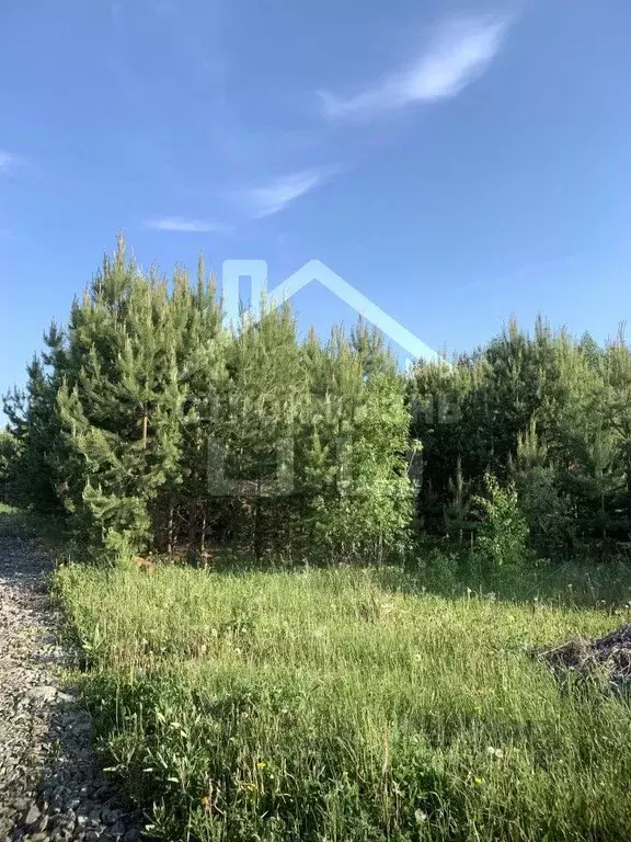 Участок в Свердловская область, Екатеринбург Аэродром ДНП, ул. ... - Фото 1