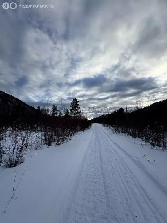 Участок в Манжерокское сельское поселение, село Озёрное (9.9 м) - Фото 2