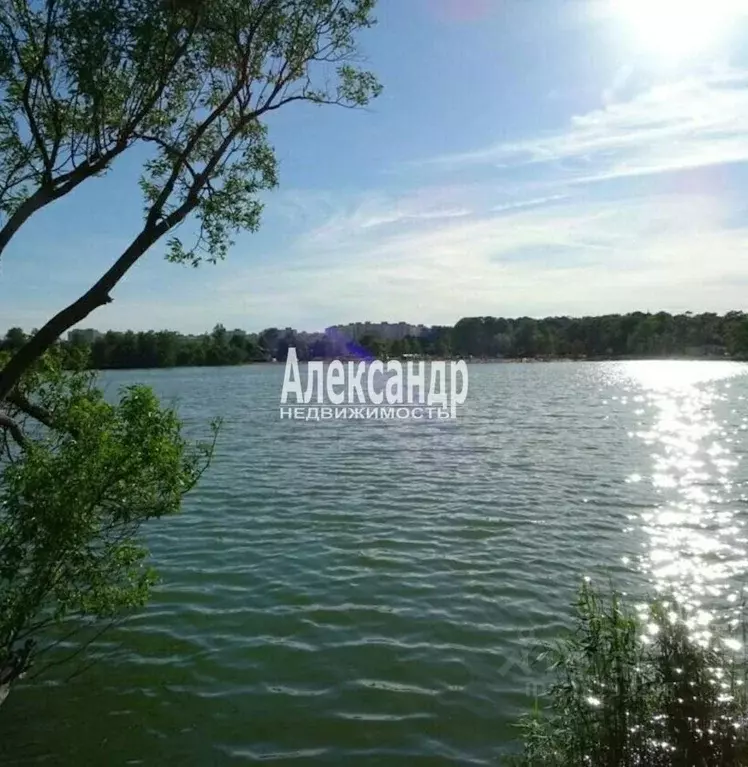 Участок в Ленинградская область, Ломоносовский район, Виллозское ... - Фото 2