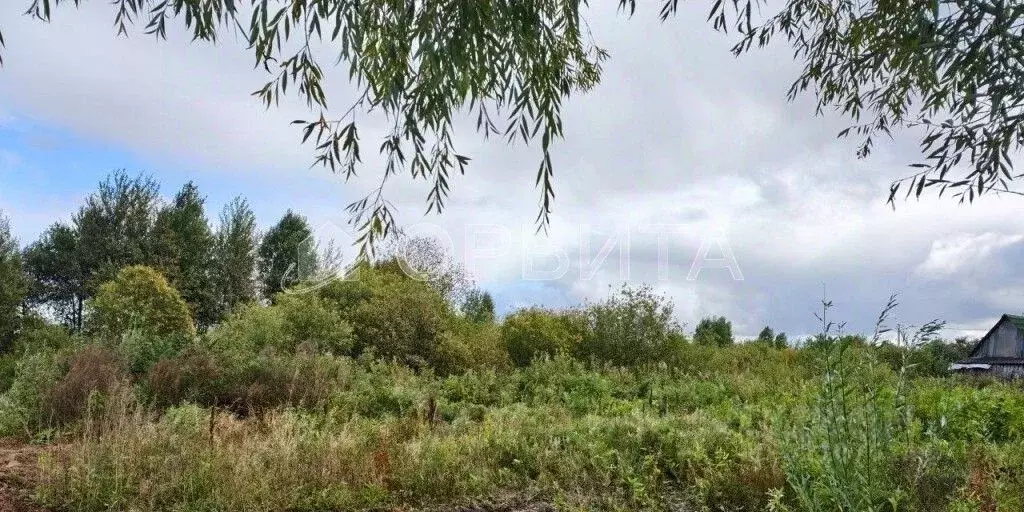 Участок в Тюменская область, Тюменский район, Собственников ... - Фото 2