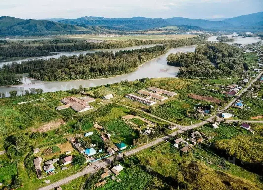 Участок в Алтайский край, Алтайский район, Айский сельсовет, с. Ая ул. ... - Фото 1