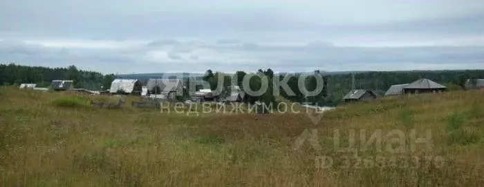 Участок в Пермский край, Березники муниципальный округ, д. Белая Пашня ... - Фото 1