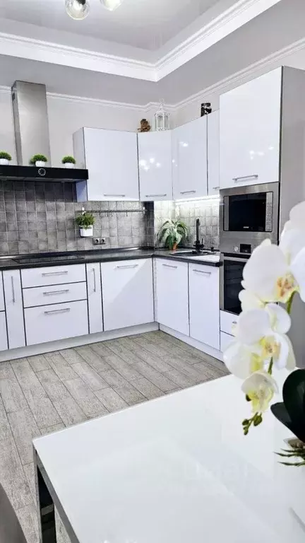 2-к кв. Краснодарский край, Краснодар Центральный мкр, ул. Ломоносова, ... - Фото 1