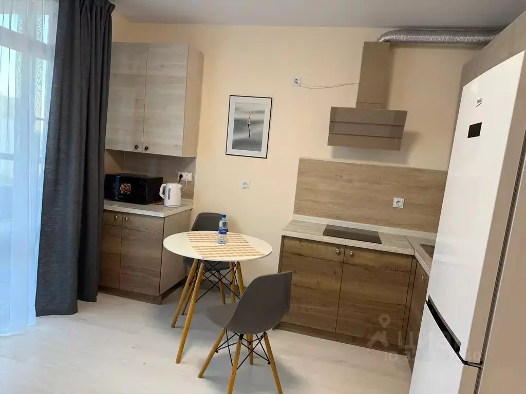 Студия Ленинградская область, Тосненский район, Федоровское городское ... - Фото 2