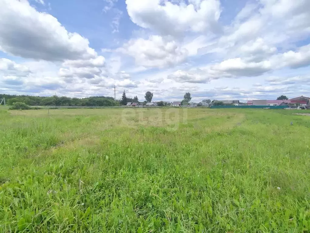 Участок в Владимирская область, Гусь-Хрустальный муниципальный округ, ... - Фото 1