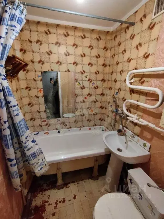 1-к кв. Курская область, Курск Парковая ул., 14 (31.0 м) - Фото 1