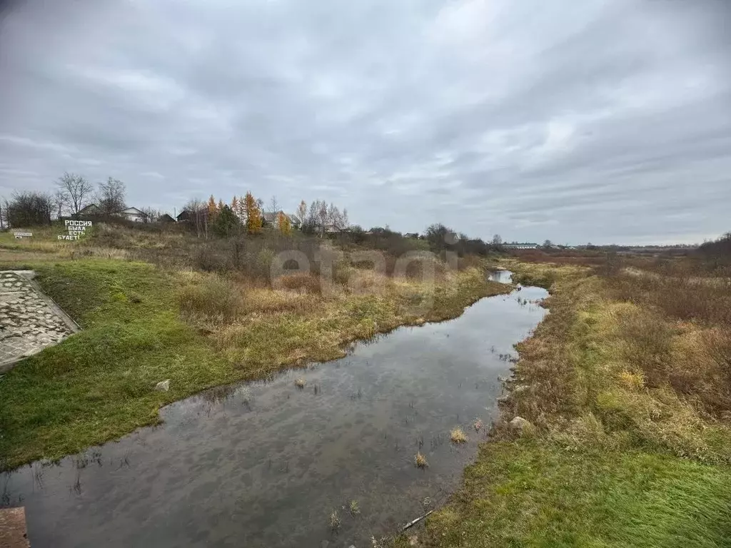 Участок в Костромская область, Красносельский район, Шолоховское ... - Фото 1