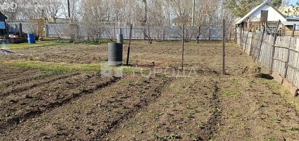 Участок в Барнаул, СНТ Трансмаш, 5 (5.9 м) - Фото 1