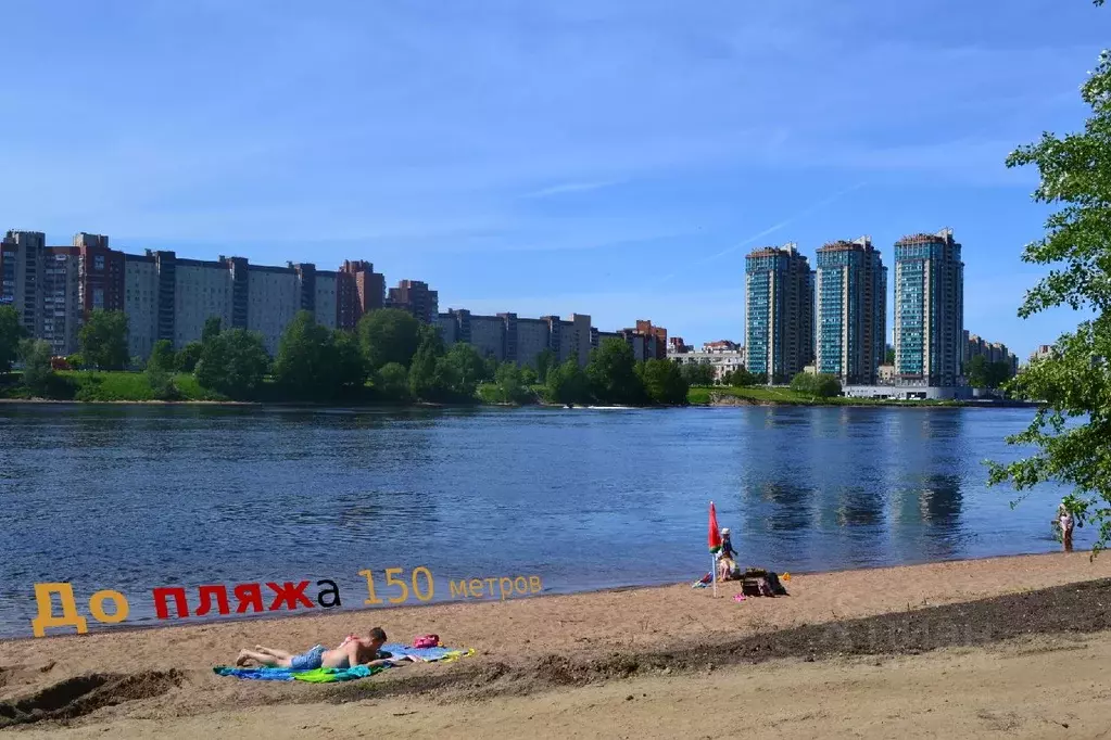 2-к кв. Ленинградская область, Всеволожский район, Свердловское ... - Фото 0