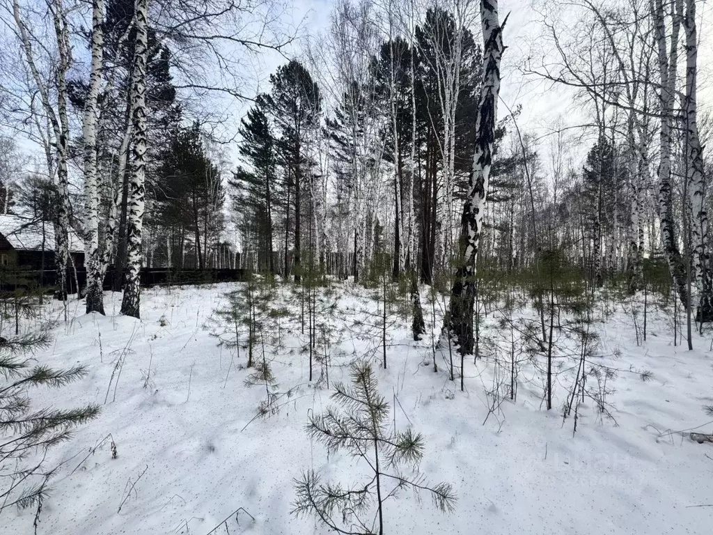 Участок в Иркутская область, Иркутский муниципальный округ, Жемчужина ... - Фото 1