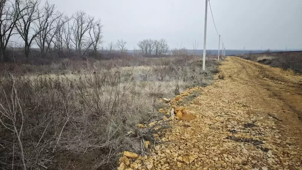 Участок в Ростовская область, Аксайский район, Рассветовское с/пос, ... - Фото 2