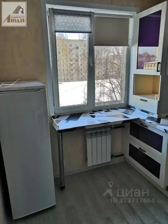 Студия Новосибирская область, Новосибирск Затулинский жилмассив, ул. ... - Фото 1