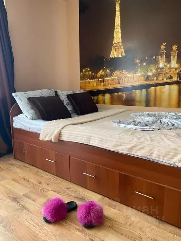 1-к кв. Пензенская область, Пенза проезд 3-й Рахманинова, 5 (27.0 м) - Фото 0