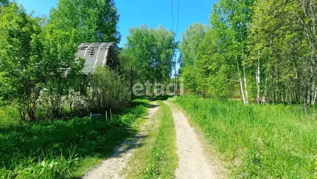 Участок в Новосибирская область, Искитимский район, Зеленый Дол ... - Фото 1