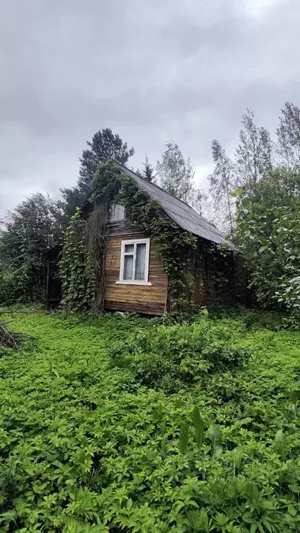 Дом в Московская область, Богородский городской округ, Меркурий СНТ 17 ... - Фото 0