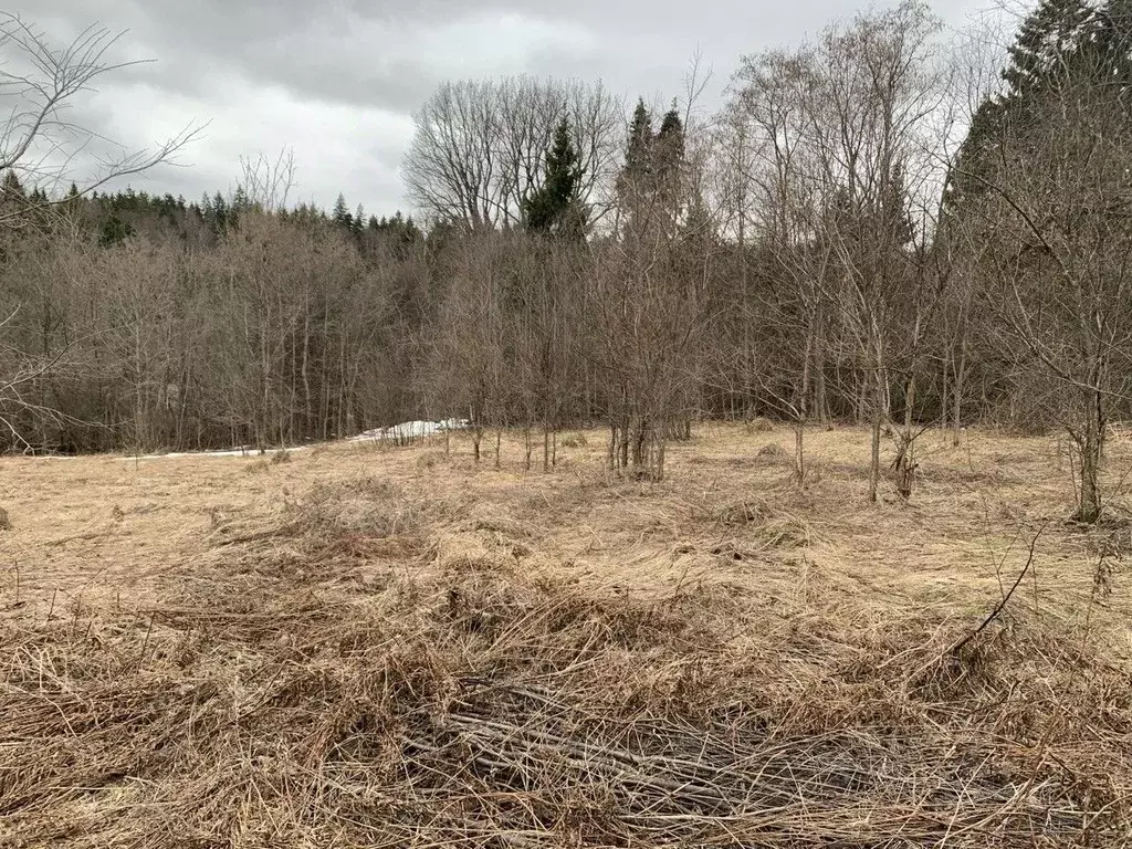 Участок в Московская область, Пушкинский городской округ, д. Васюково  ... - Фото 1