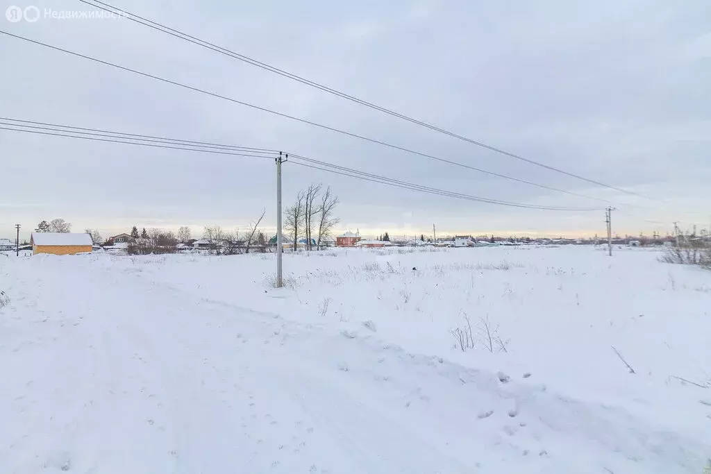 Участок в Омский район, село Пушкино (59.8 м) - Фото 0