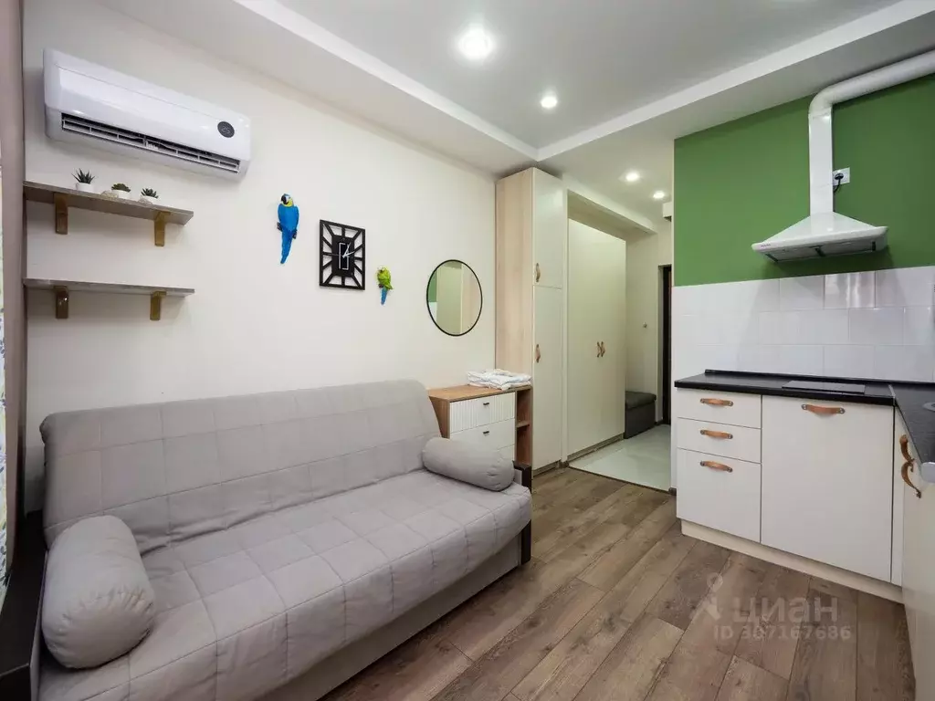 1-к кв. Краснодарский край, Сочи ул. Ленина, 219А/1к2 (20.0 м) - Фото 1