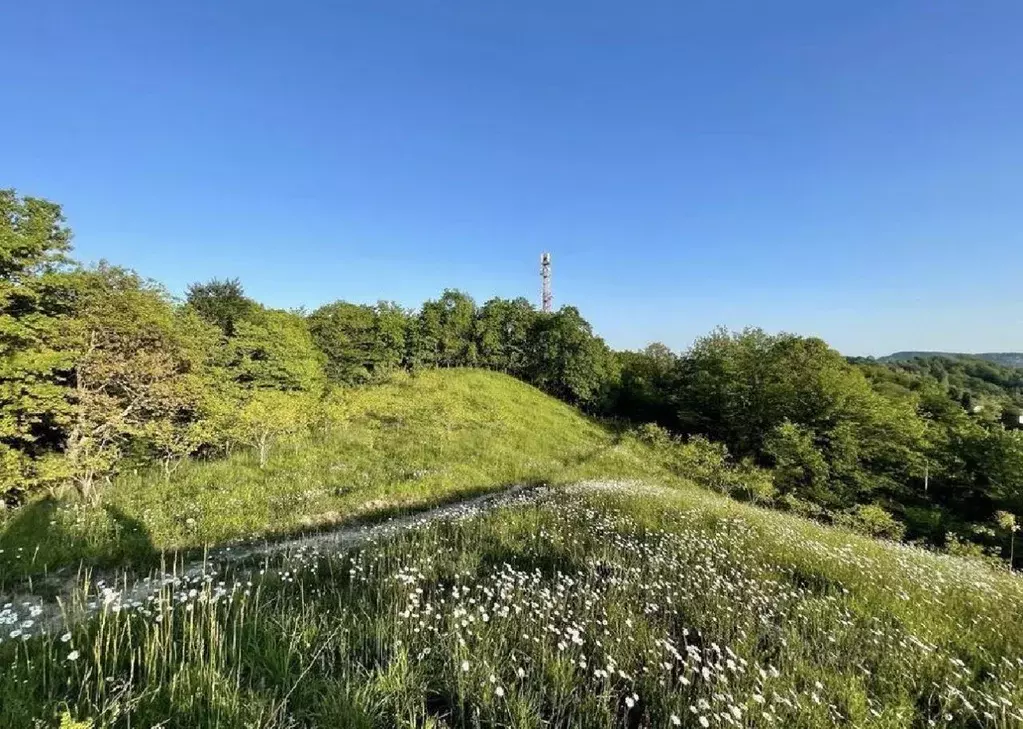 Участок в Краснодарский край, Сочи городской округ, с. ... - Фото 2