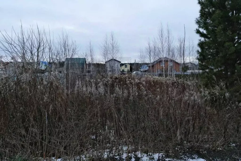 Участок в Свердловская область, Екатеринбург Горнощитский СНТ, 205 ... - Фото 1