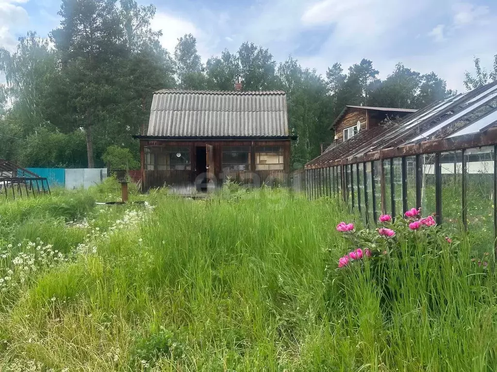 Участок в Челябинская область, Озерск Малая Нанога СНТ, 13-й кв-л,  ... - Фото 1