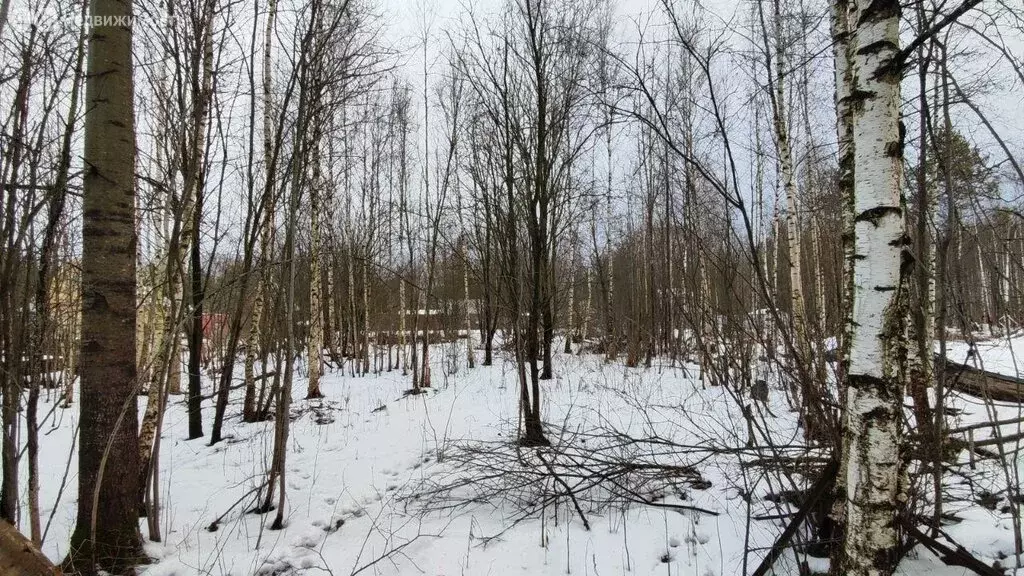 Участок в Тоншаловское сельское поселение, садоводческое товарищество ... - Фото 0