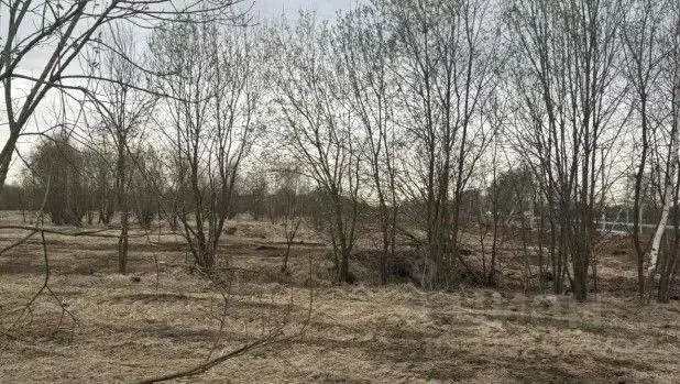 Участок в Московская область, Серпухов городской округ, с. Липицы  ... - Фото 1